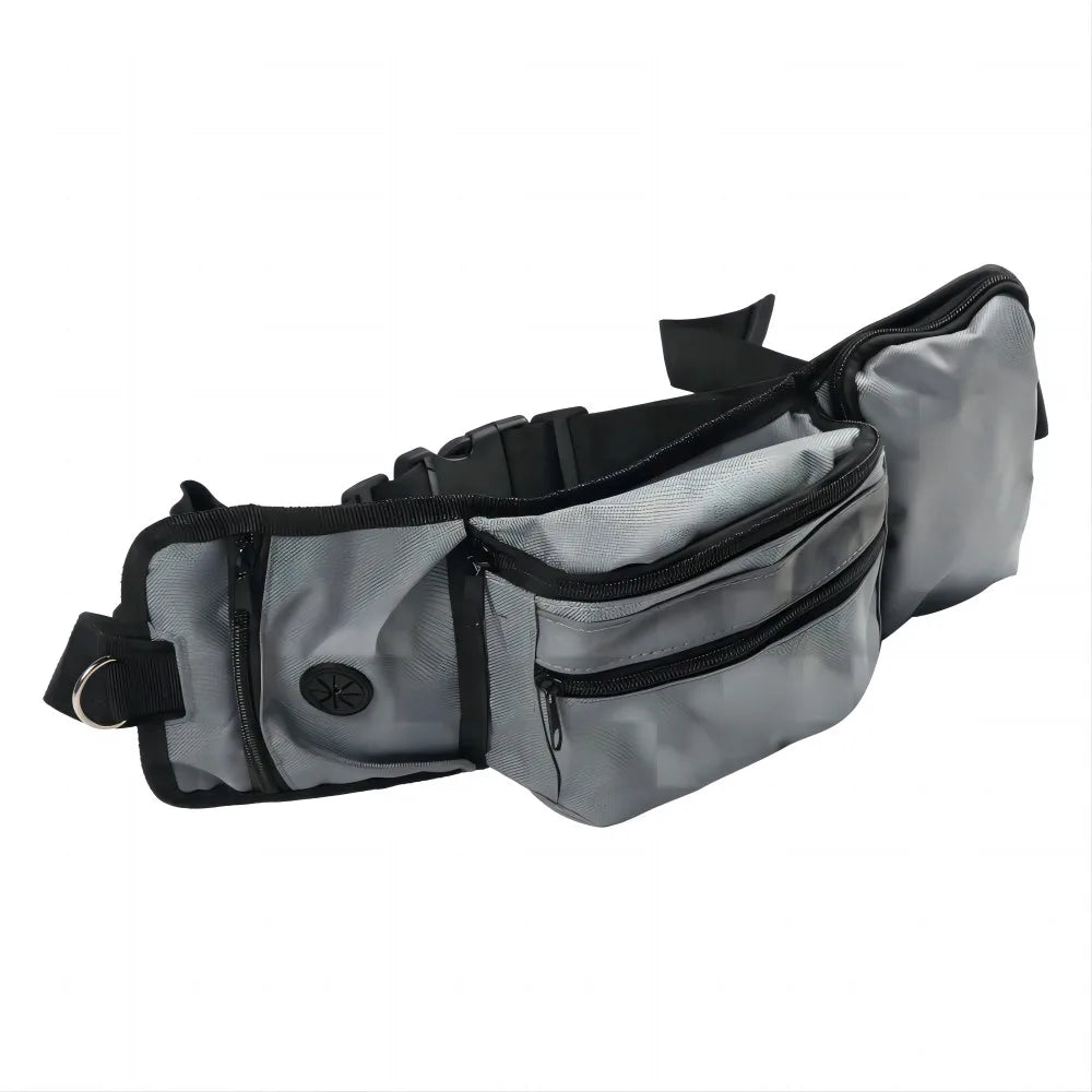 Dog Training Waist Bag Multi-Functional Outdoor Pet Feeding Bag Pet Portable Belt Accompanying Dogs Treat Pouch for Polyester