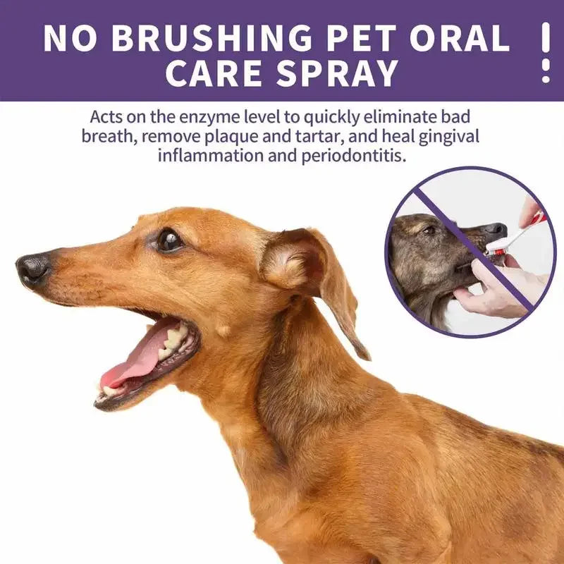 50Ml Pet Oral Cleanse Spray Dogs Cats Teeth Clean Deodorant Prevent Calculus Remove Kitten Bad Breath Mouth Fresh Pet Supplies