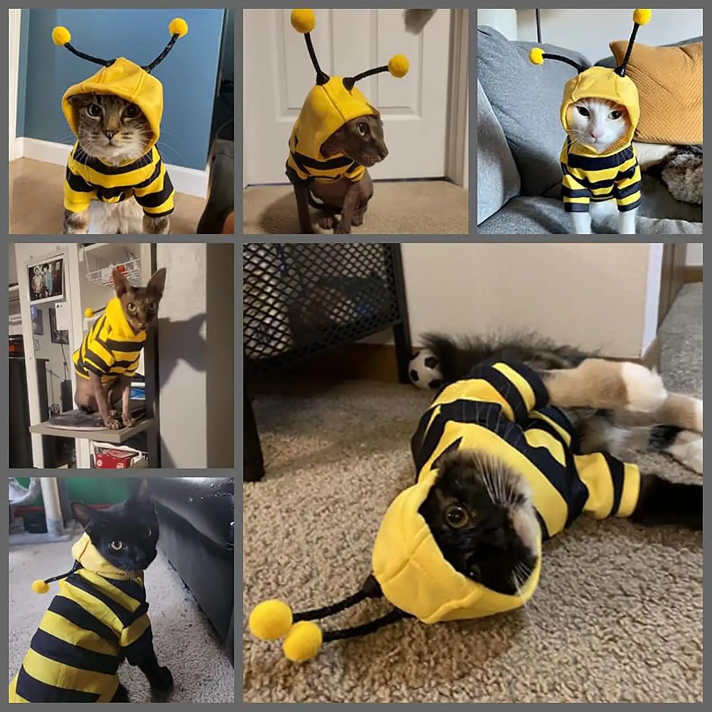 Funny Pet Cat Costume Hooded Stripe Cat Hoodies for Cats Kitten, Easter Halloween Bee Dress up Party Outfit Cat Clothes