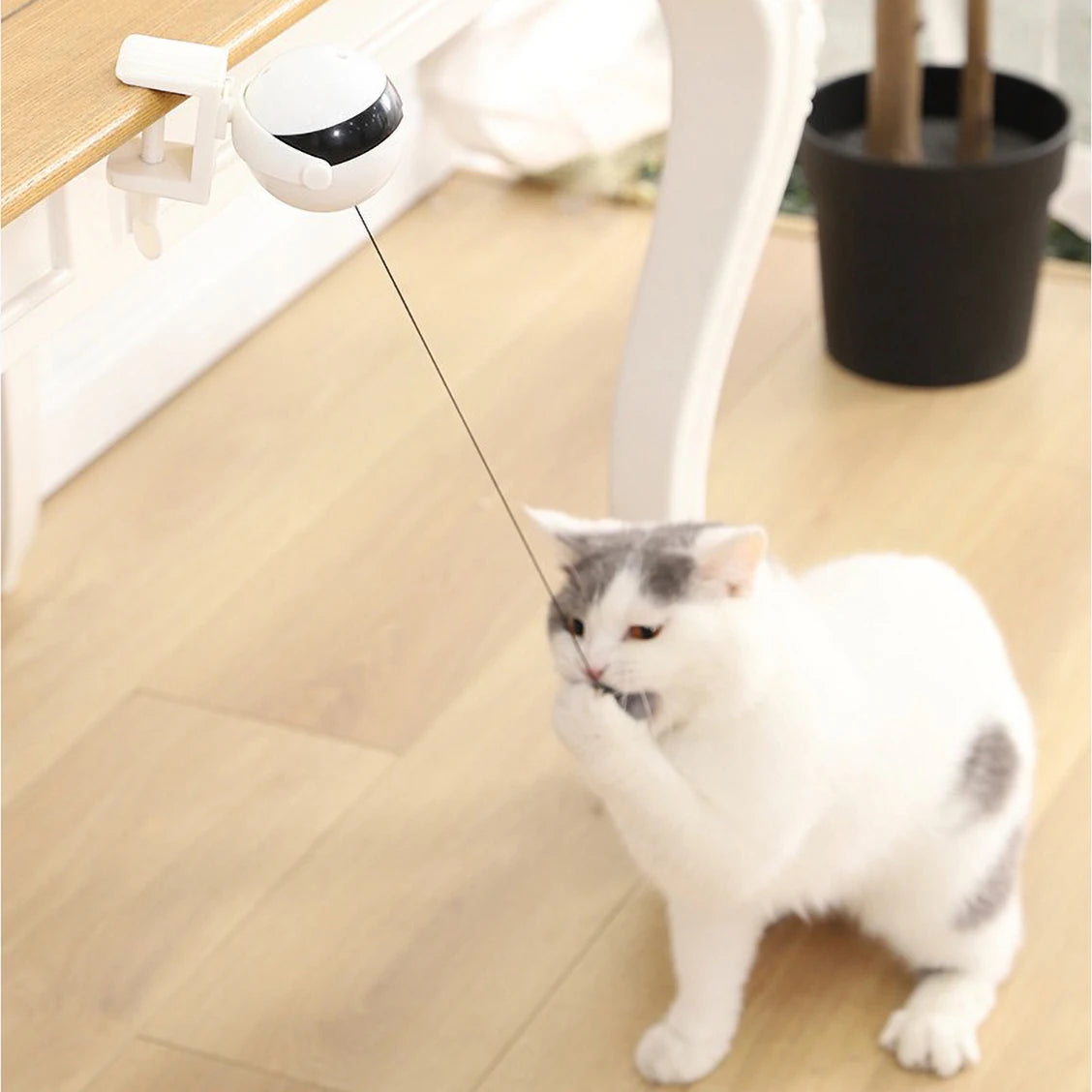2025 Interactive Automatic Cat Toy with Retractable Design Easy Install & Disassembly Exciting Curiosity Play for Cats