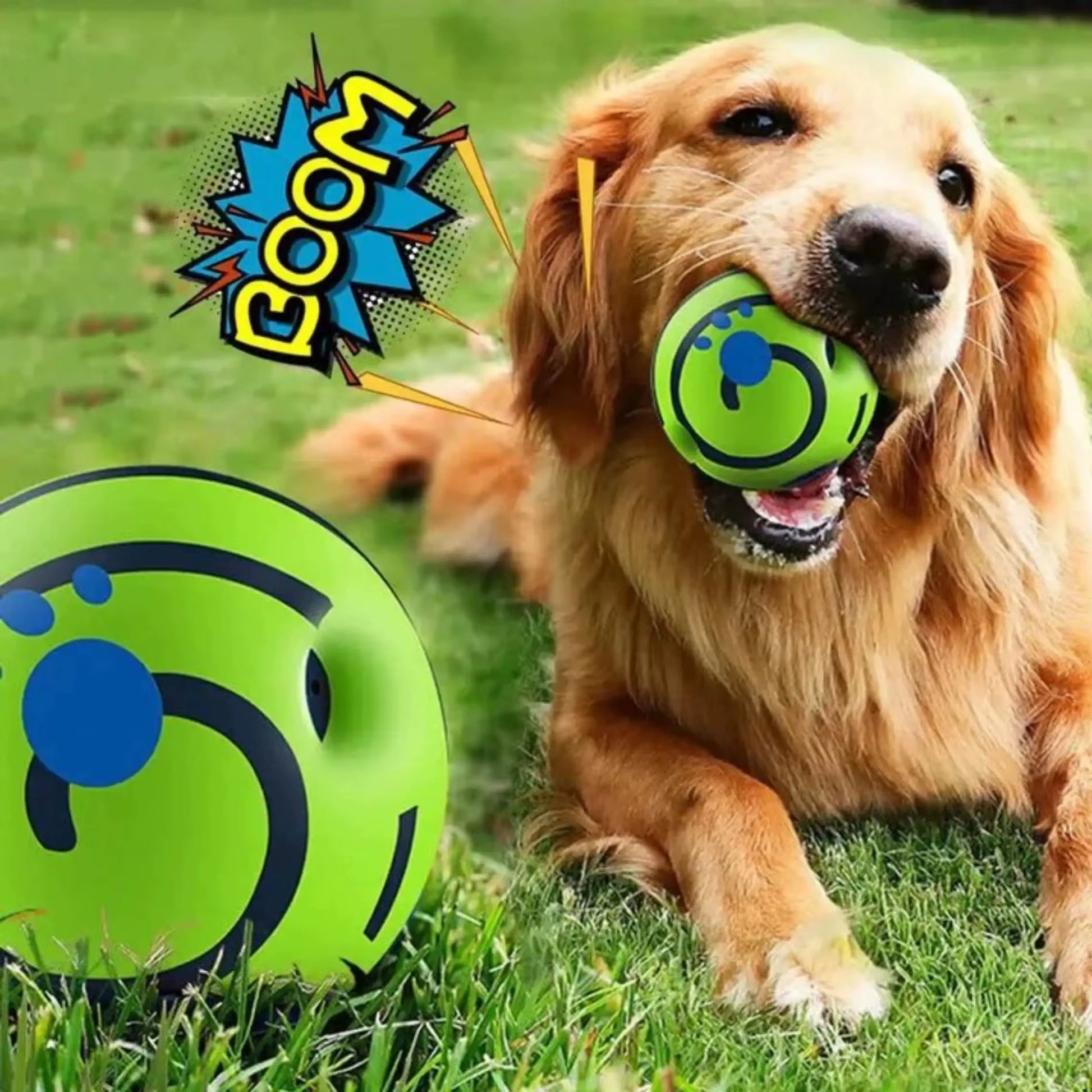 Pet Dog Ball Interactive Dog Toy Fun Sounds When Rolled or Shaken Pets Know Best as Seen on TV