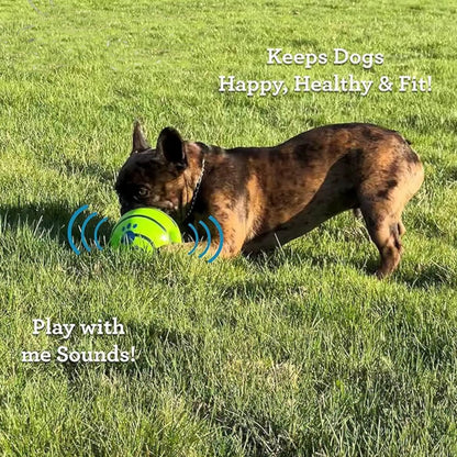 Pet Dog Ball Interactive Dog Toy Fun Sounds When Rolled or Shaken Pets Know Best as Seen on TV