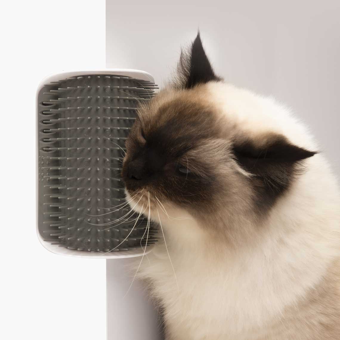 Self Grooming Cat Brush Toy
