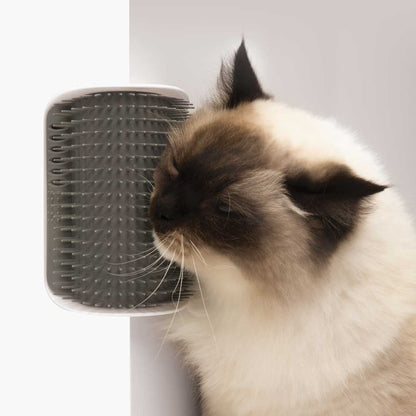 Self Grooming Cat Brush Toy