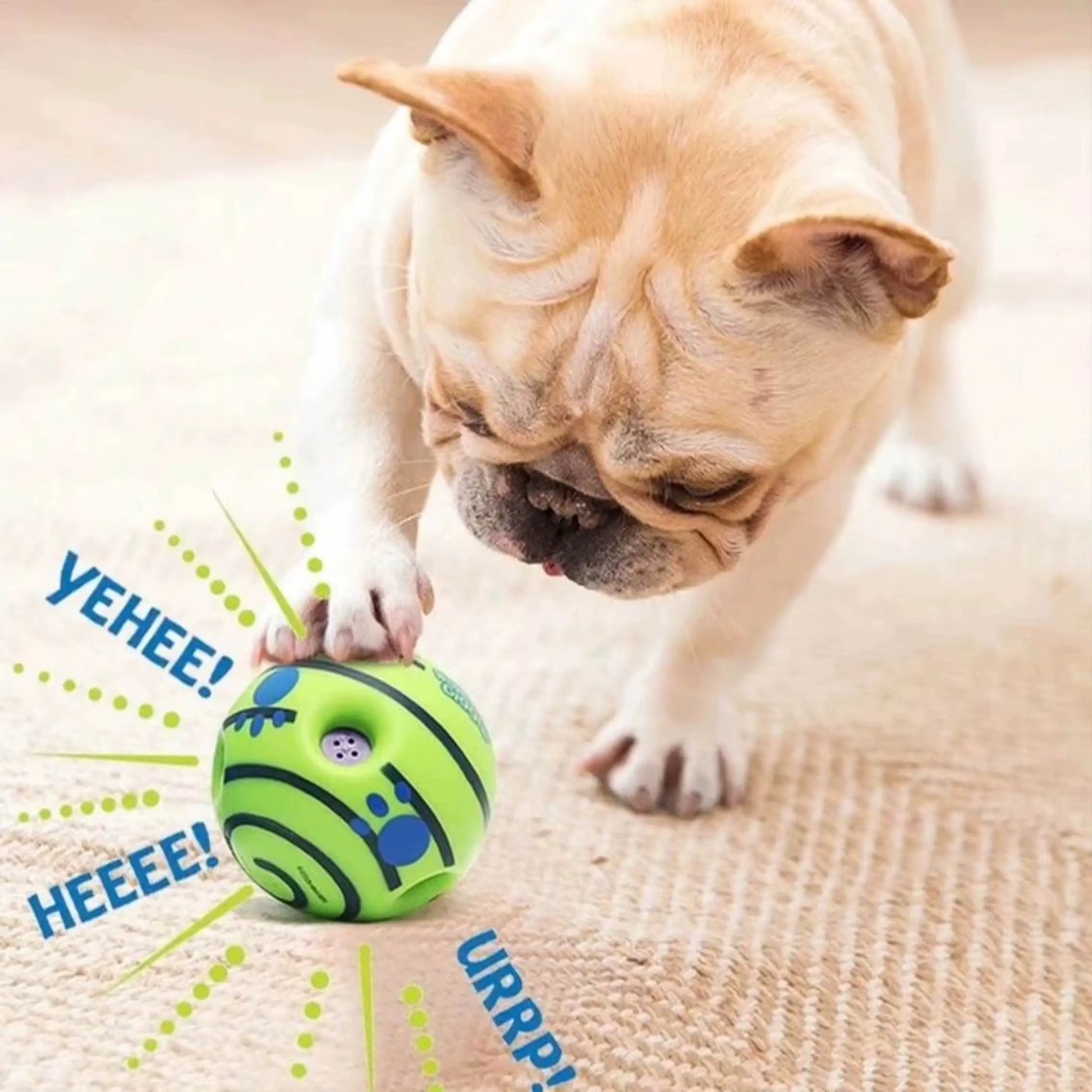 Pet Dog Ball Interactive Dog Toy Fun Sounds When Rolled or Shaken Pets Know Best as Seen on TV