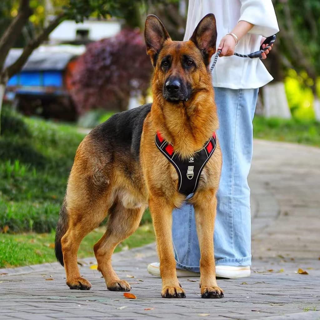 Reflective Dog Harness