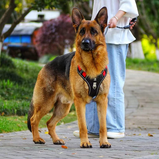 Reflective Dog Harness