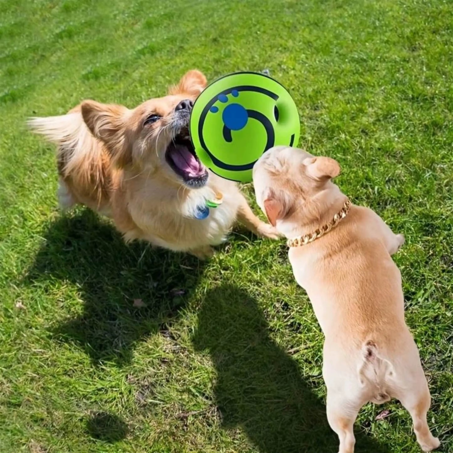 Pet Dog Ball Interactive Dog Toy Fun Sounds When Rolled or Shaken Pets Know Best as Seen on TV