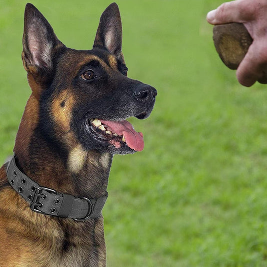 Tactical Pet Dog Collar