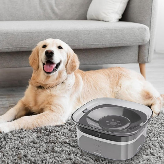 Spill Proof Slow Water Feeder Bowl