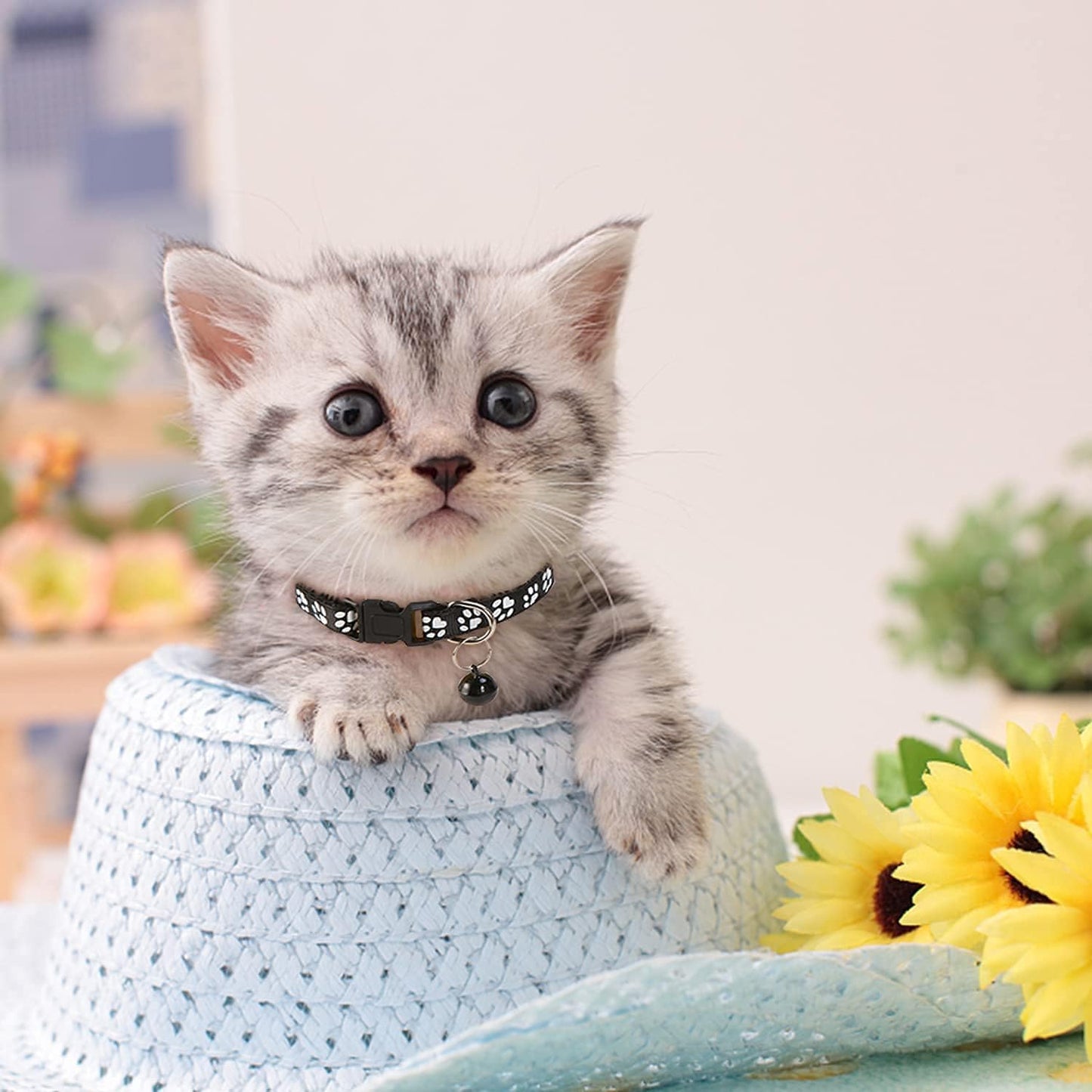 Cat Bell Collar