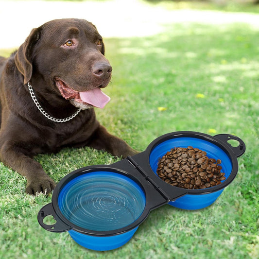 2-In-1 Foldable Dual Bowl