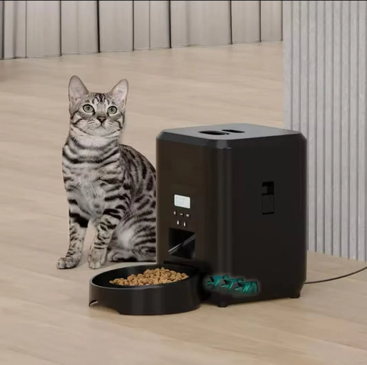 2L Cat Timing Feeder