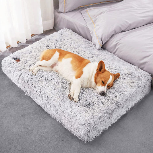 Plush Removable Dog Bed Mattress