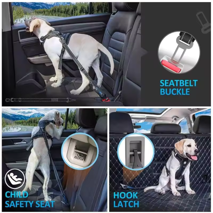 Pet Dog Car Seat Belt
