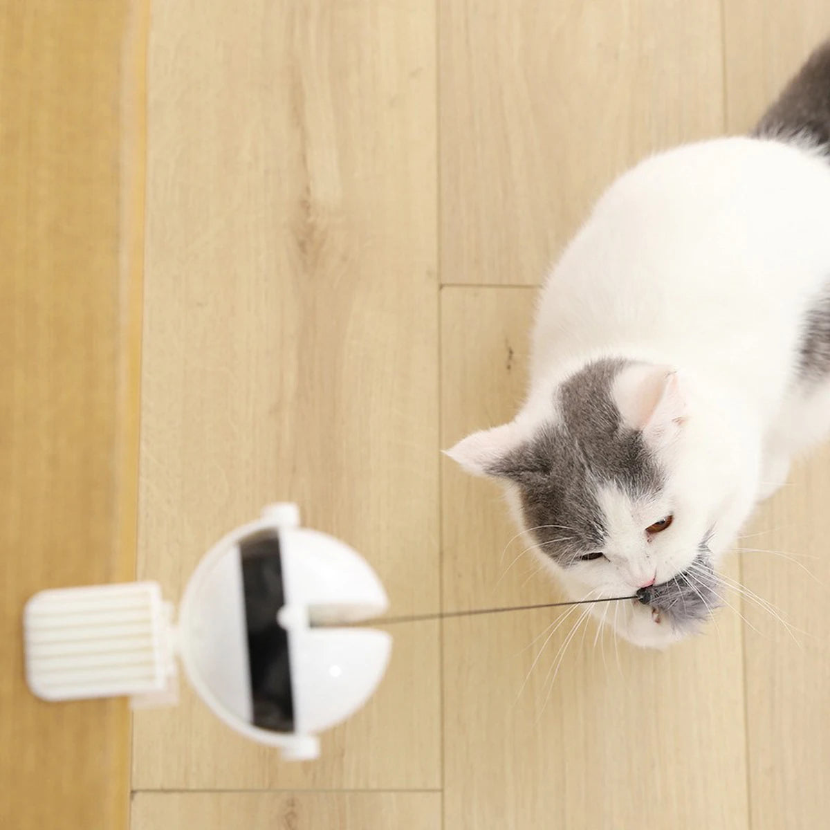 2025 Interactive Automatic Cat Toy with Retractable Design Easy Install & Disassembly Exciting Curiosity Play for Cats