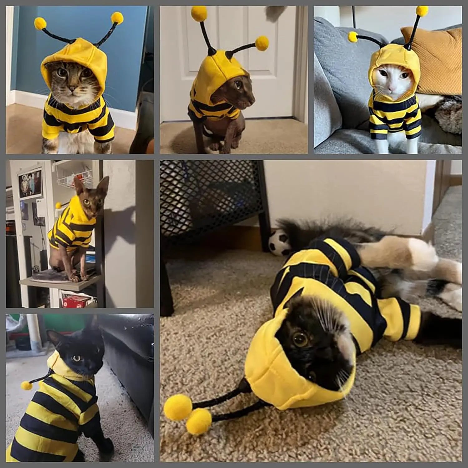 Funny Pet Cat Costume Hooded Stripe Cat Hoodies for Cats Kitten, Easter Halloween Bee Dress up Party Outfit Cat Clothes