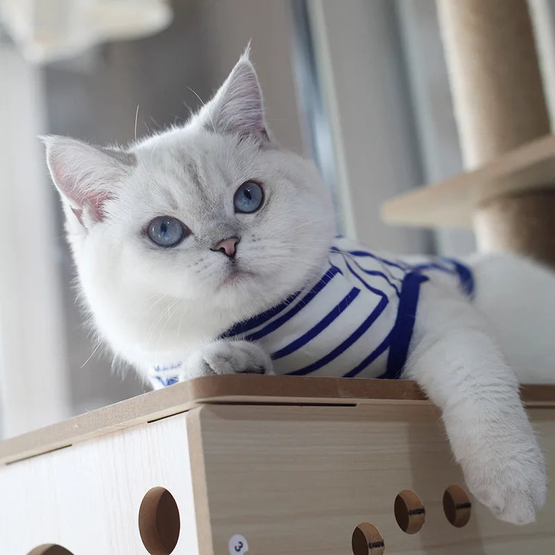 Summer Cat Puppy Clothes Classic Stripes Pet Sleeveless Vest for Small Dogs Cats Kitten Pullover Clothing Ropa Para Perros