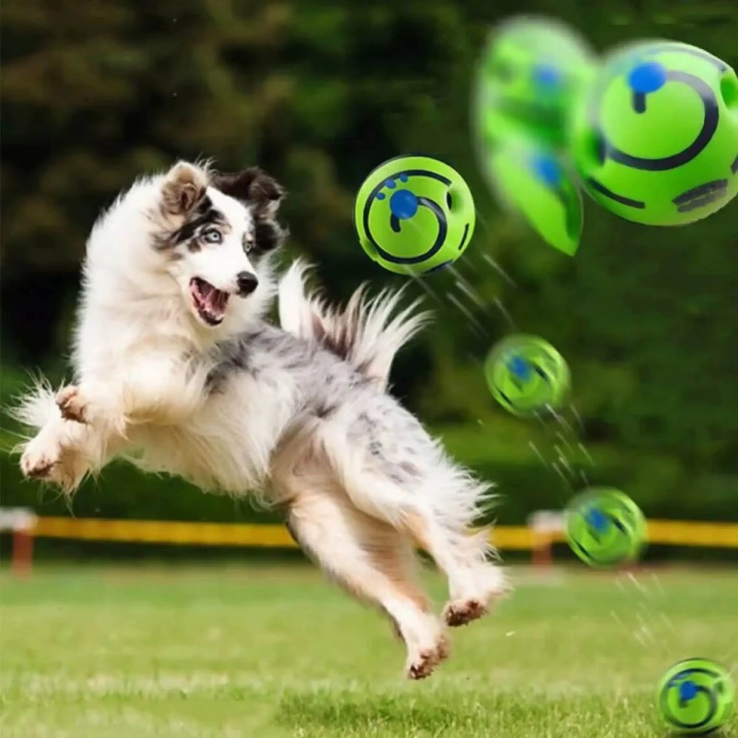 Pet Dog Ball Interactive Dog Toy Fun Sounds When Rolled or Shaken Pets Know Best as Seen on TV